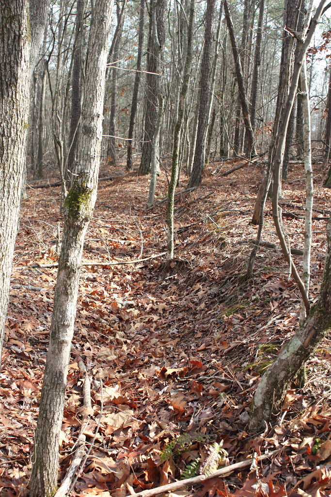 Trench earthworks Pickett's Mill Battlefield Historic Site… Flickr