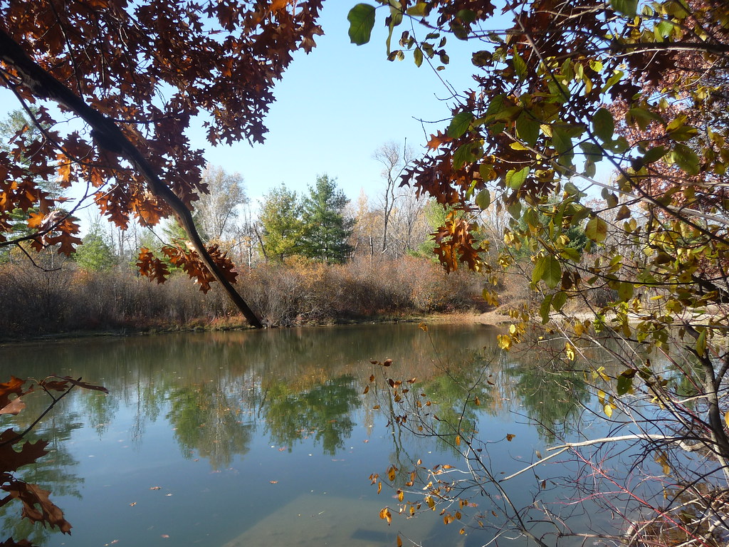 Reflections Rogue River Park in Belmont, Michigan on a war… Flickr
