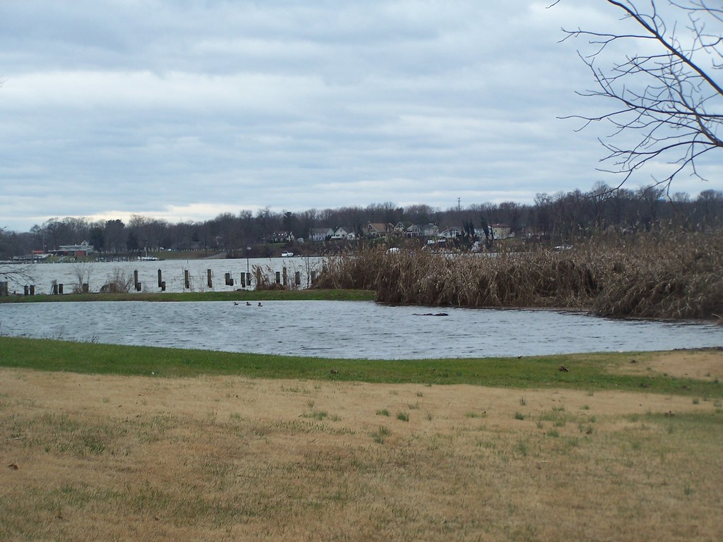 2 12/21/2012 2pm Perryman md duckhunter22 Flickr