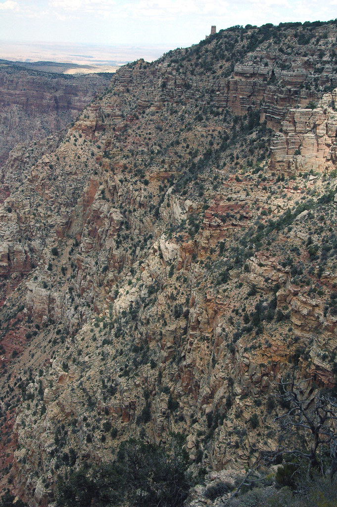 Kaibab FormationCoconino Sandstone, Gr… Flickr