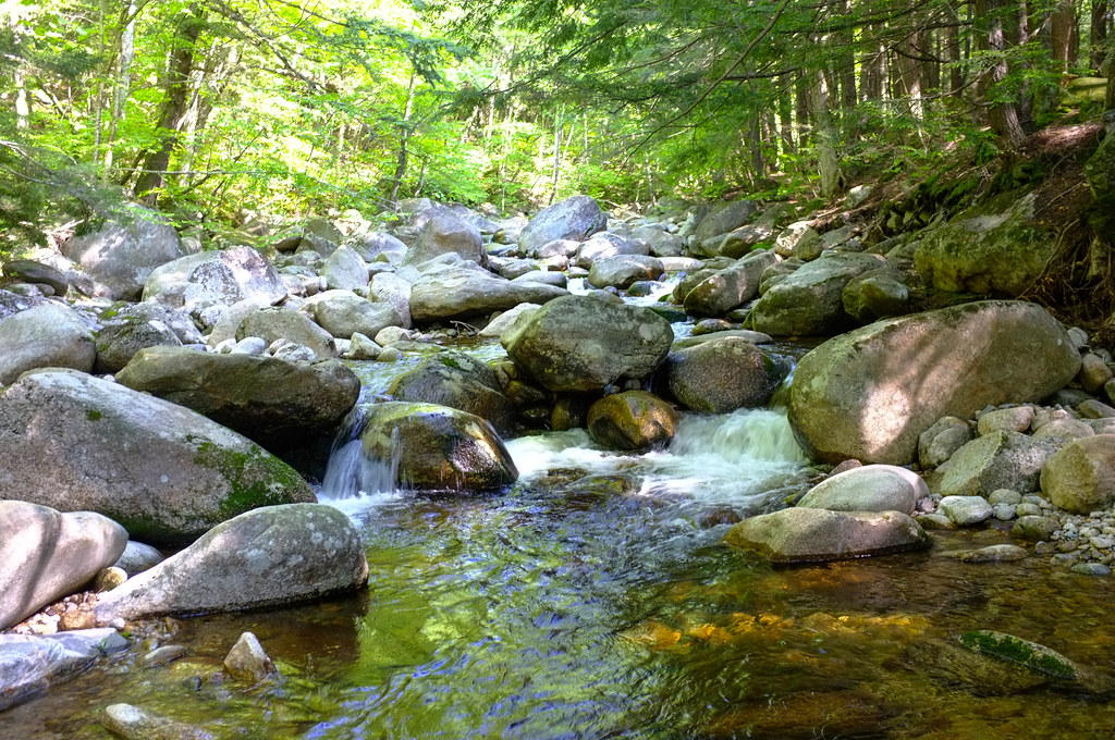 Flat Mountain Pond9.jpg Kate Lockhart Flickr