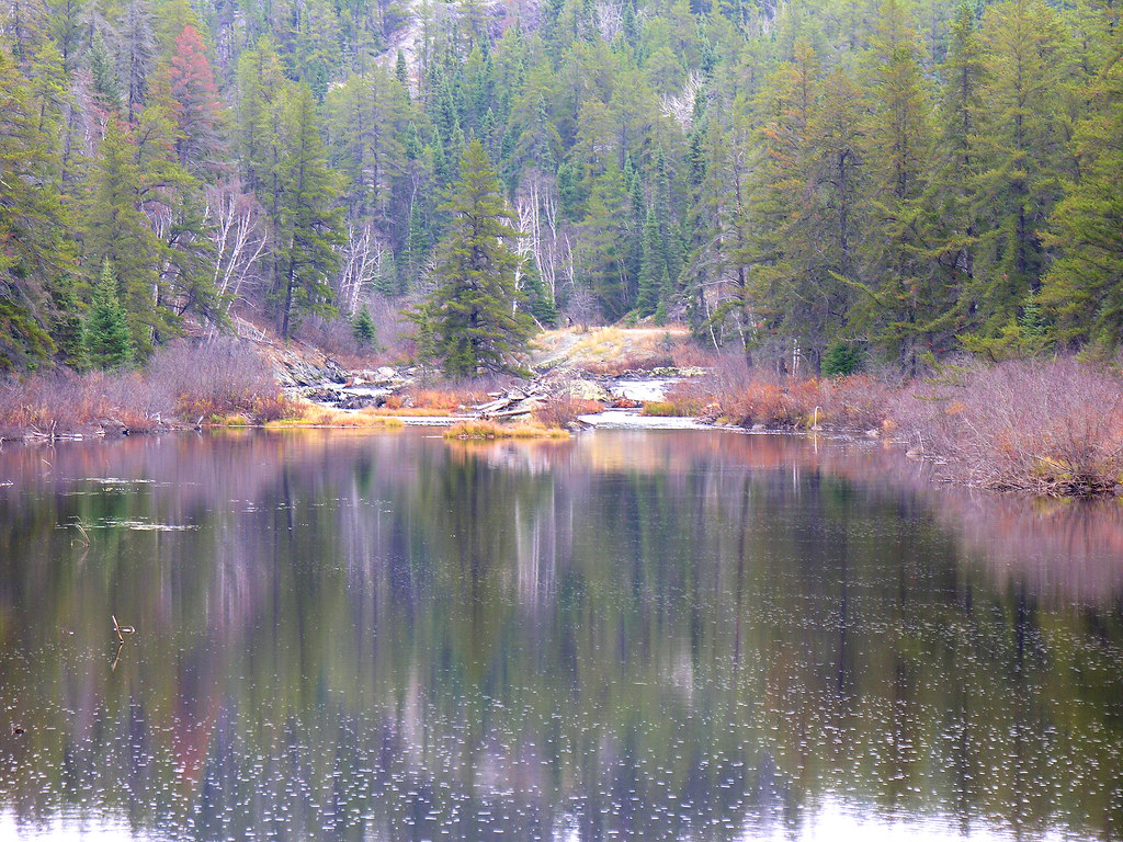 Current River S of Onion Lake jfsyqt1 Flickr