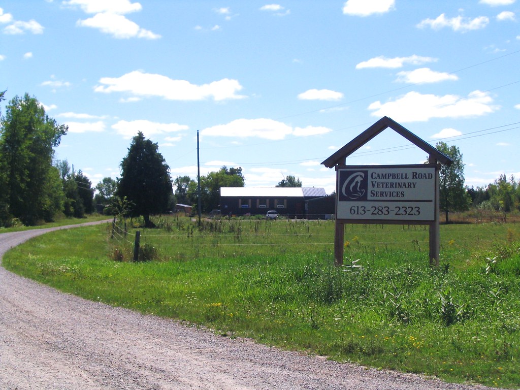 road Campbell Road Veterinary Services Flickr