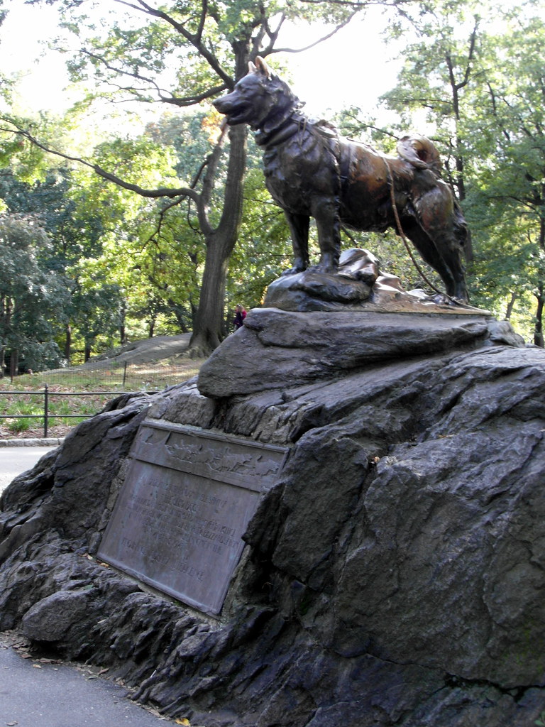 Balto Statue In Central Park, New York. The state was dedi… Flickr