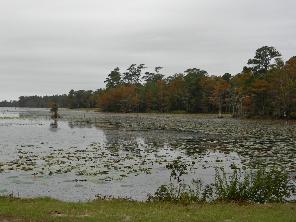 Orton Pond This was on the drive out from Brunswick Town t… Flickr