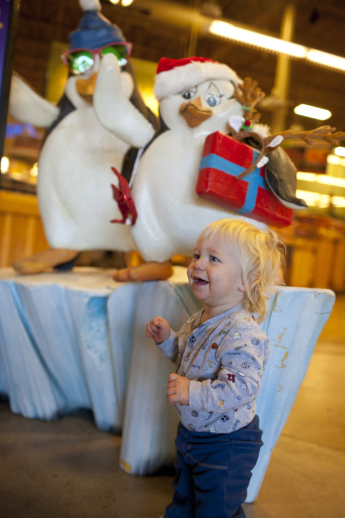 Bee Cave HEB 1124 Austin Trail of LIghts Flickr