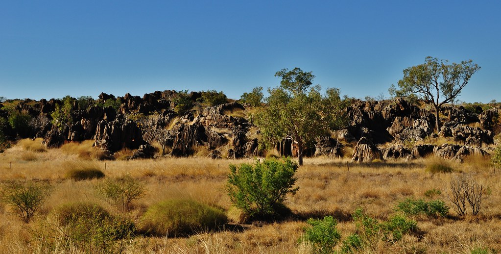 Woodland & Grassland Savannah, Western Australia (2) Flickr