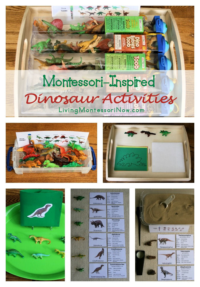MontessoriInspired Dinosaur Activities MontessoriInspire… Flickr