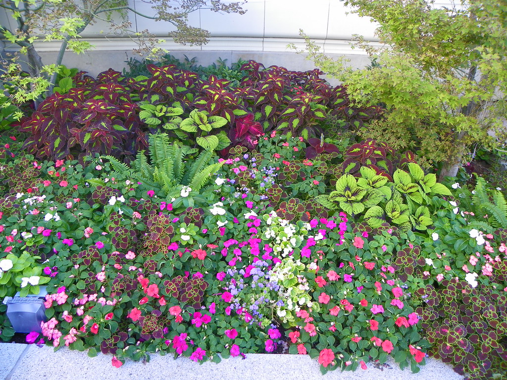 Flowers in Downtown Salt Lake City Temple Square, Salt Lak… Flickr