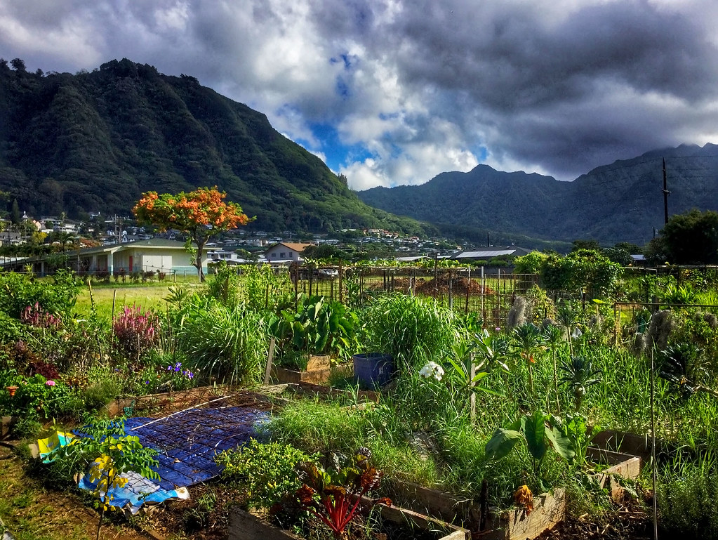 Manoa Valley Community Garden jcc55883 Flickr
