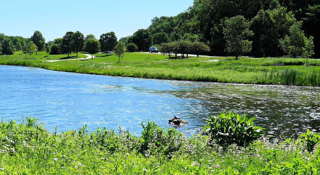 P1000489cm Libertyville.IL.us Independence Grove 16400 Wes… Flickr