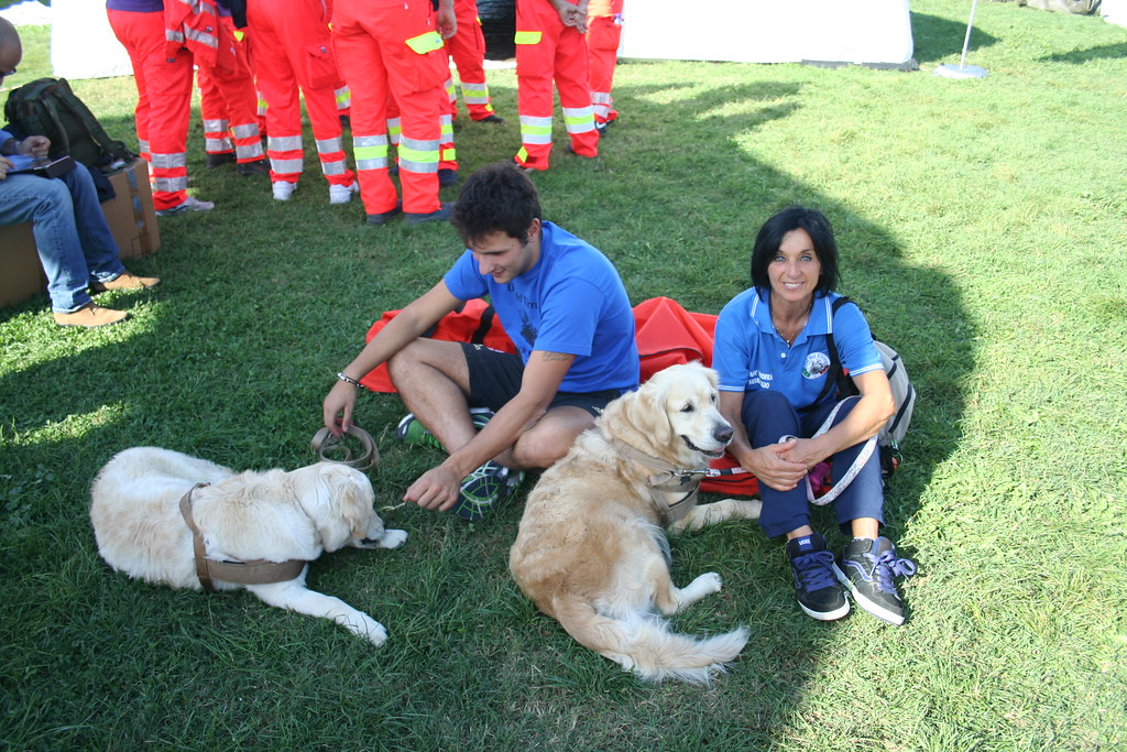 022 Croce Viola Sesto Fiorentino Flickr