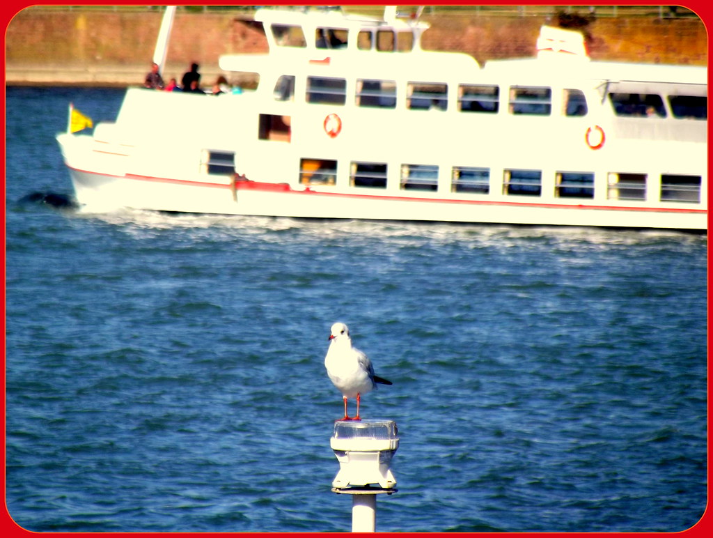 I am sailing,I am sailing ,home again, across the sea !!! a photo on