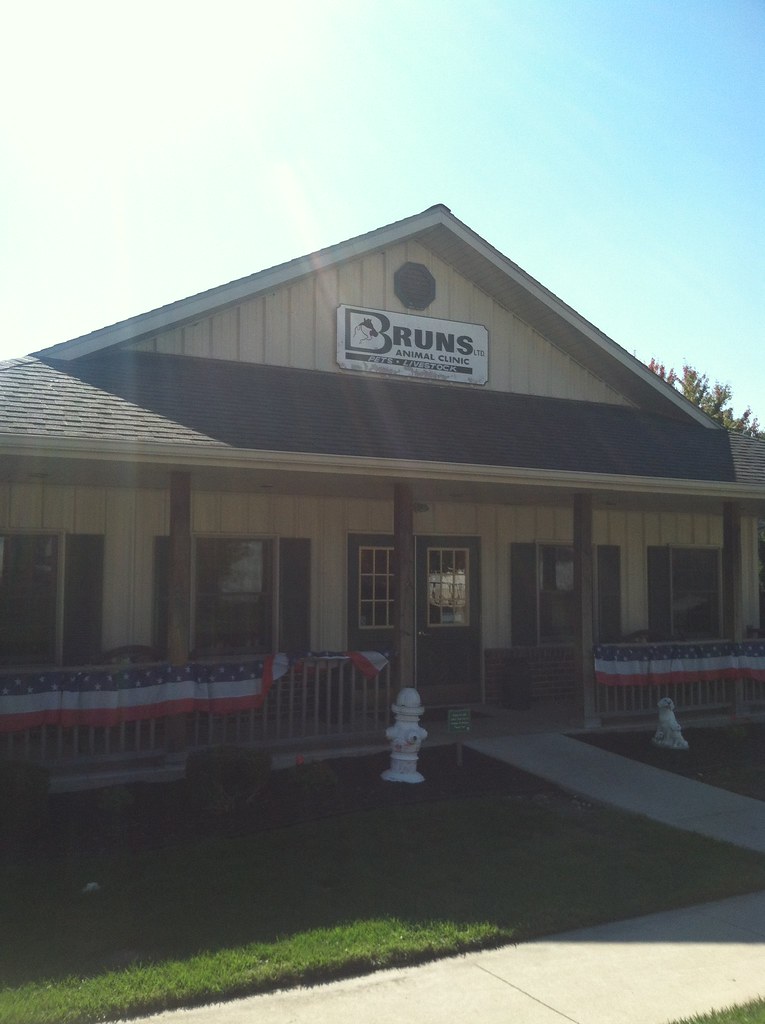 Veterinarian Pet Grooming Versailles, OH Bruns Animal … Flickr