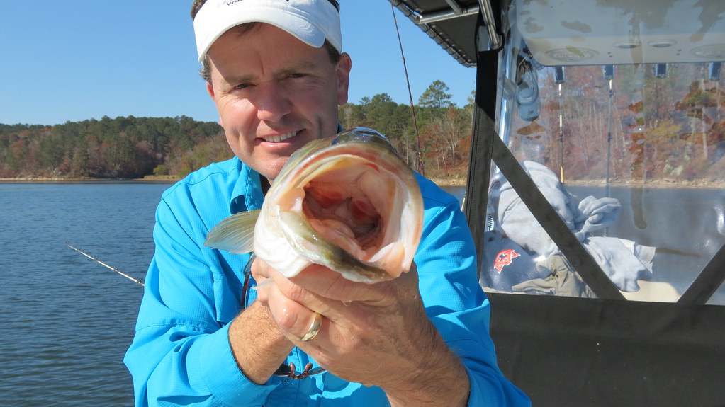 Striper Fishing on Lake Martin with Alex City Guide Servic… Flickr
