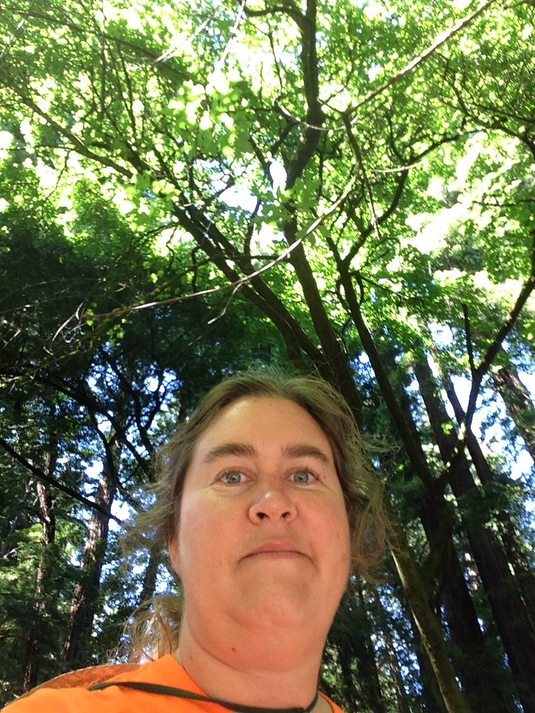 Summer 2016 Grass Valley Flickr