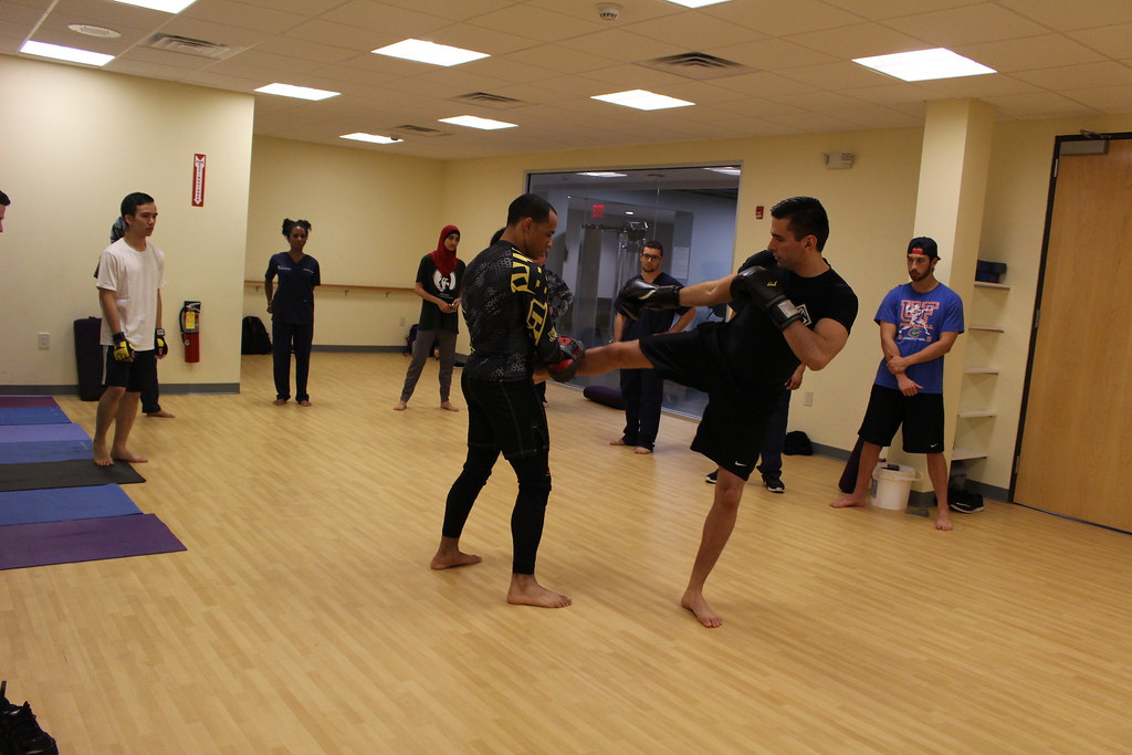 (12 Martial Arts) (45) New York Medical College Flickr