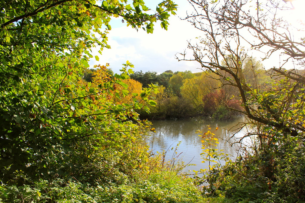 Autumn views Flickr