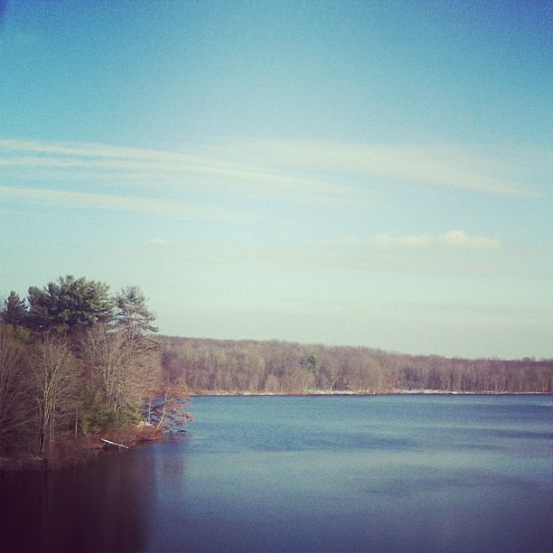 Snow on the ground in Pennsylvania. Sarah Johnson Flickr