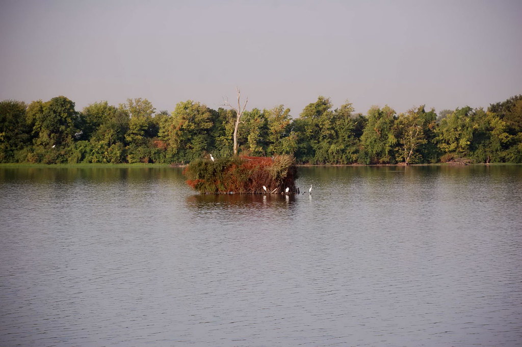 Duck Blind at Horseshoe Lake, Illinois nikita4229 Flickr