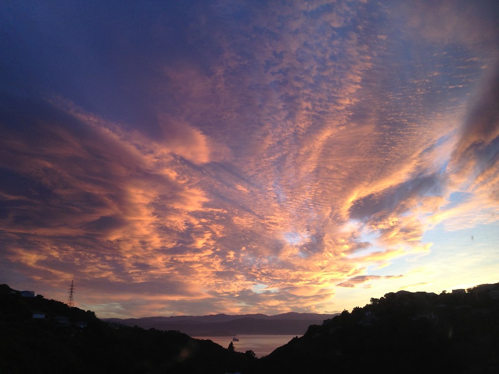 Wellington sunrise View from living room, over Ngaio Flickr