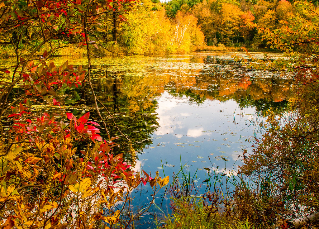 Pond Dover, MA zman2711 Flickr