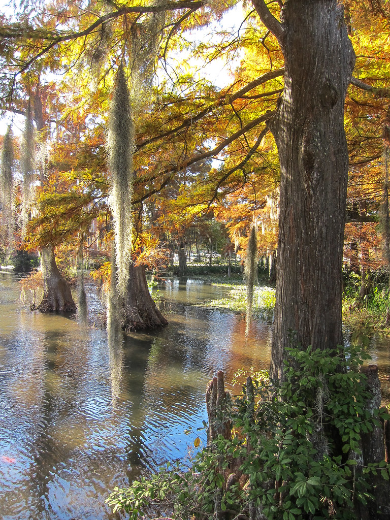 Cypress Lake University of Louisiana UL Cypress Lake Charles E