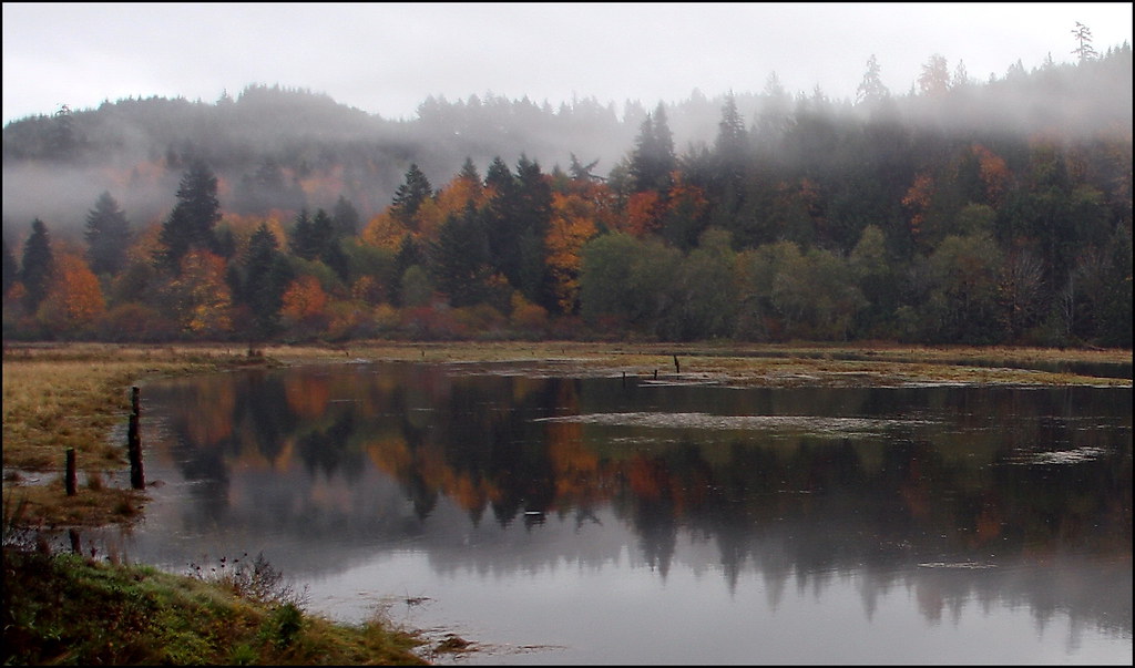 Tahuya River Steve Biber Flickr
