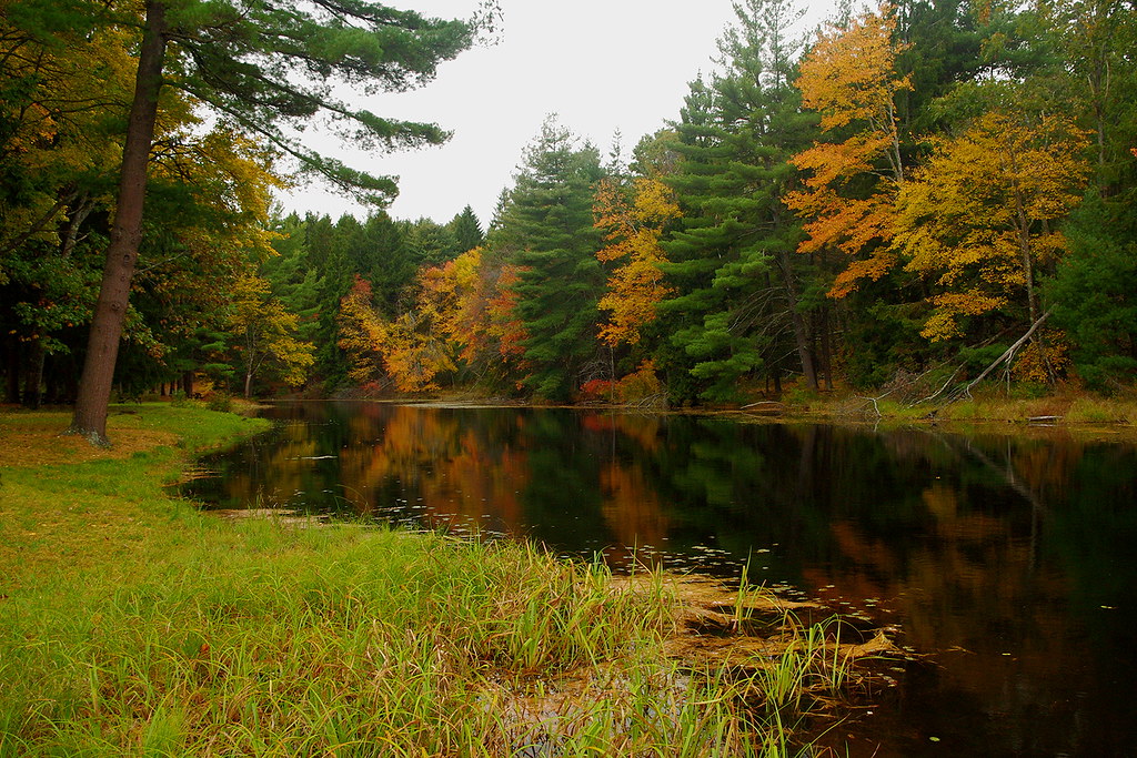 MA12P9965 Dean Pond, Brimfield State Forest, Brimfield, Ma… Flickr