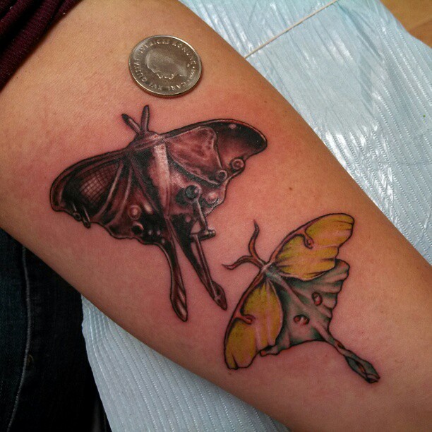 Luna Moth #Tattoo . Unfiltered | Chuk Olaf Hognell | Flickr 612_x_612_jpg