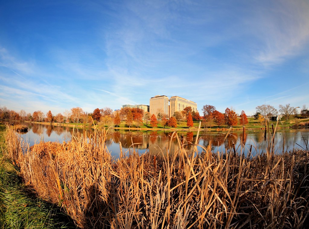 Jefferson Lake Jefferson Lake in Forest Park Bob Bawell Flickr