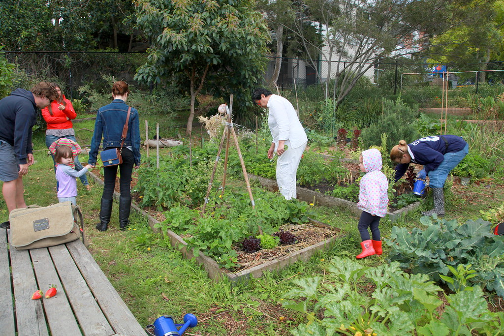 18 Waverley Community Garden Gardening across generations Flickr