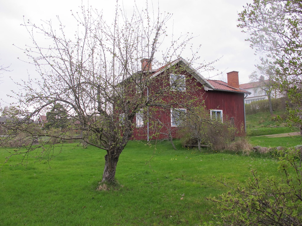 IMG_4095 Josef Nordahl Flickr