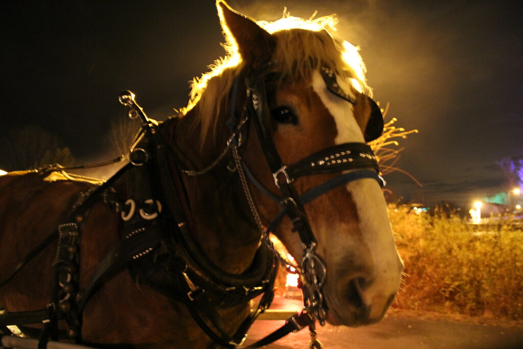 Salem Pond UT Holiday Lights 2012 Flickr