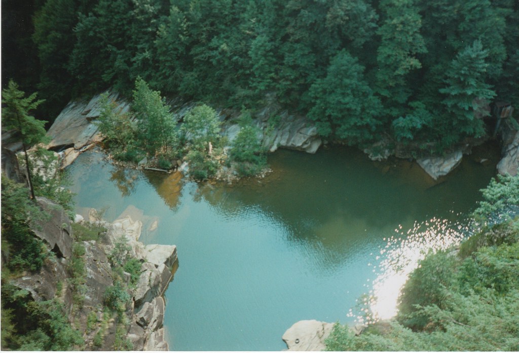 Tallulah brx0 Flickr