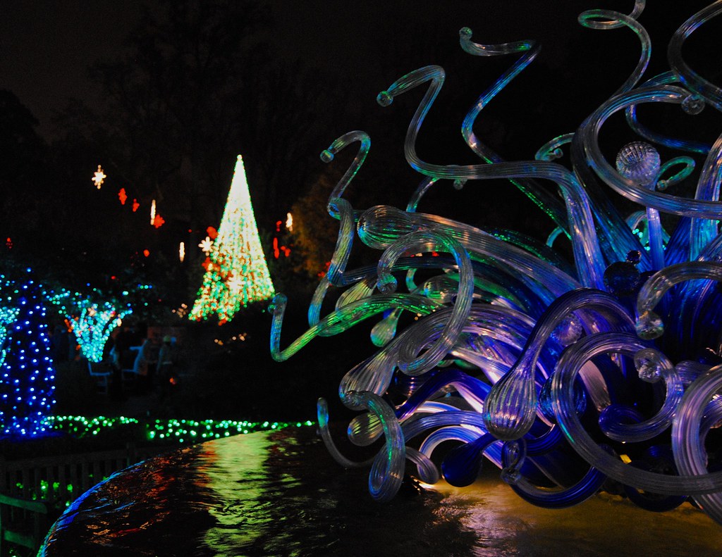 DSC_8185 Holiday Lights Atlanta Botanical Gardens, Atlan… Flickr
