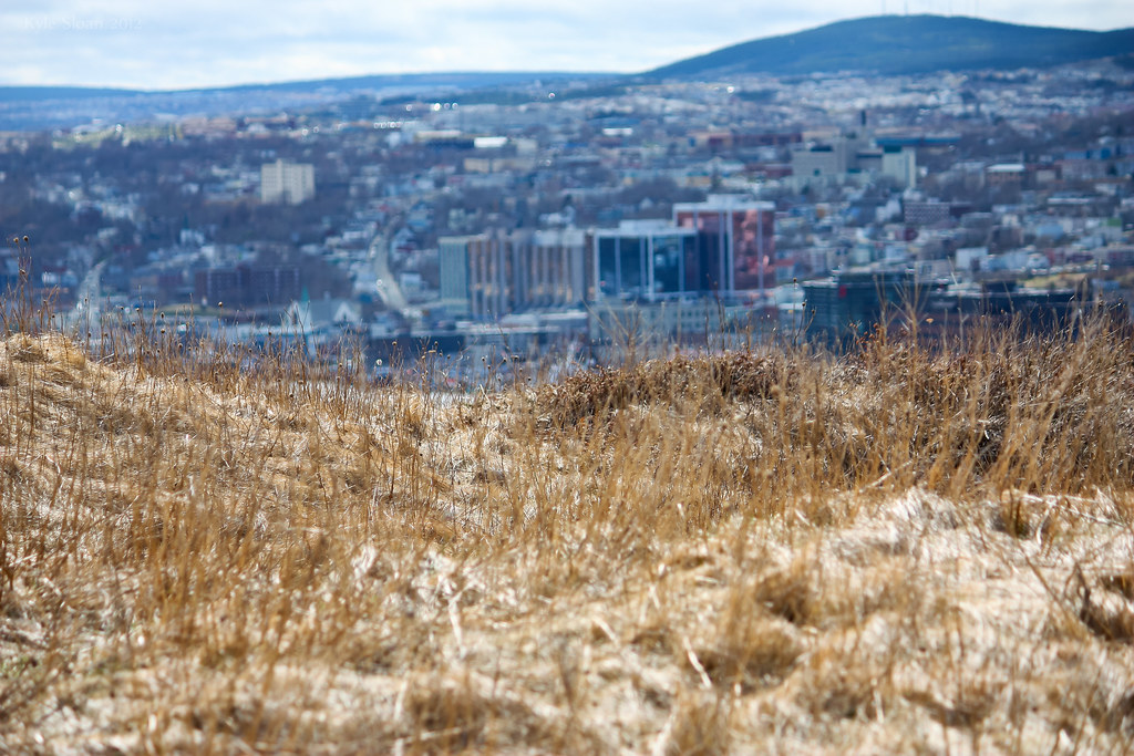 Downtown from Signal Hill Ayrcan Flickr