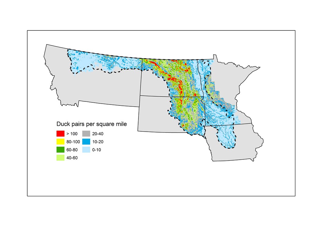 US Duck Density Per Square Mile The waterfowl thunderstorm… Flickr
