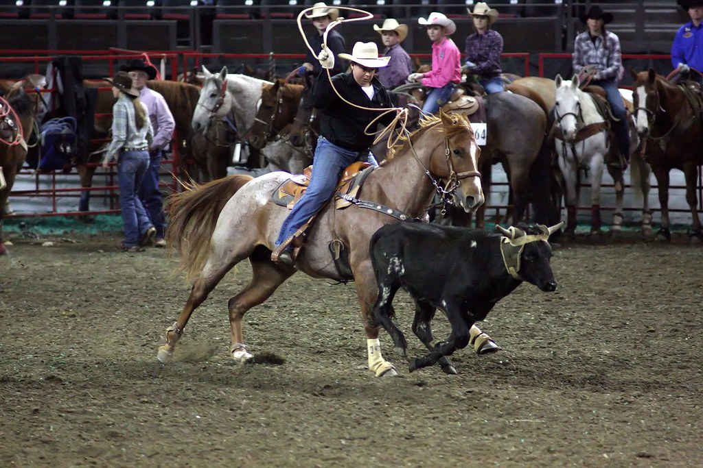 Quarter Horse Show November 7, 2012, Louisville, KY Jim Eichstedt