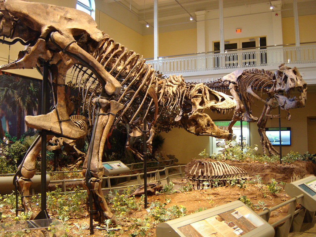 Pittsburgh, PA Dinosaurs in Carnegie Museum harry_nl Flickr