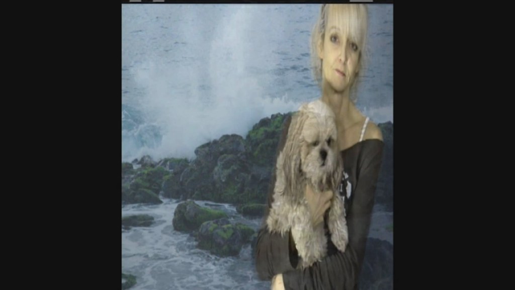 Dog Boarding Utah Affordable Dog Sitter Salt Lake City Uta… Flickr