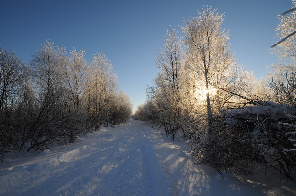 Birch Island Road jamesbird Flickr