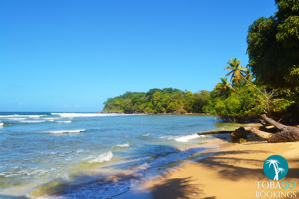 Mt. Irvine, Tobago Mt. Irvine, Tobago © Tobago Bookings ww… Flickr