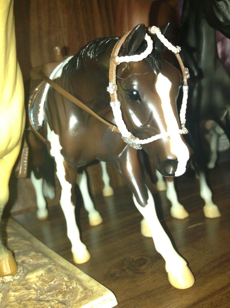 Paint quarter horse HorseCrazy101 Flickr