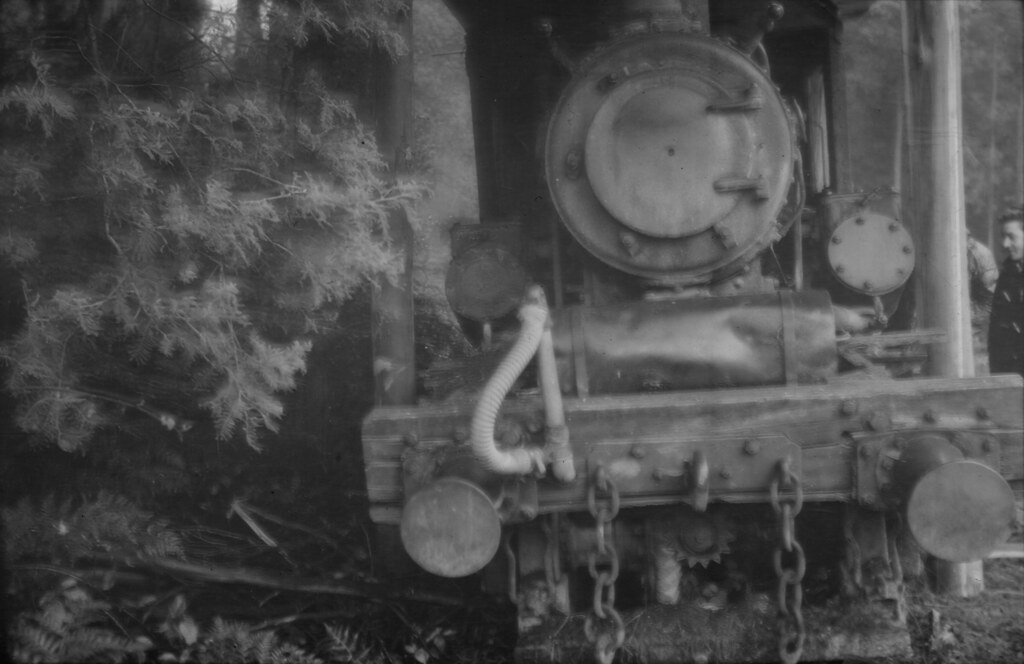 dl001_108 Australian Newsprint Mills Climax at Florentine.… Flickr