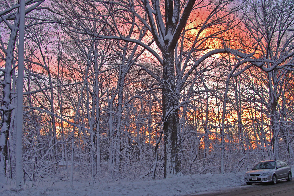 Solstice in Frostyland Drake street at the Zoo Madison Wis… Flickr