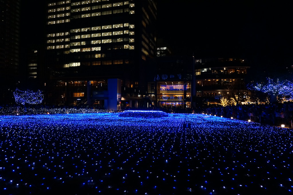 Starlight garden DSC01290 Hideya HAMANO Flickr