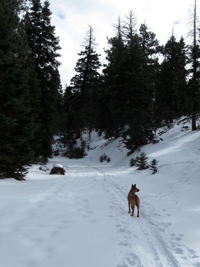 South Fork snow hike Above Horse Meadow, we got off the So… Flickr