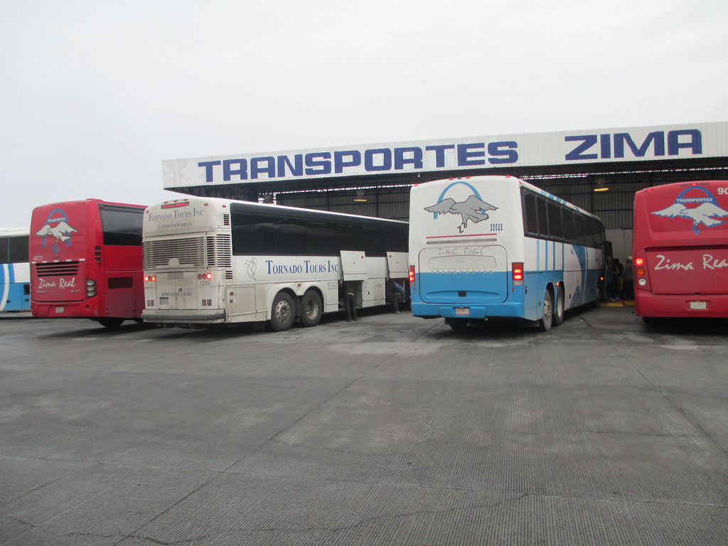 Tornado Tours Inc & Zima Real Zima Real Charter Bus Servic… Flickr