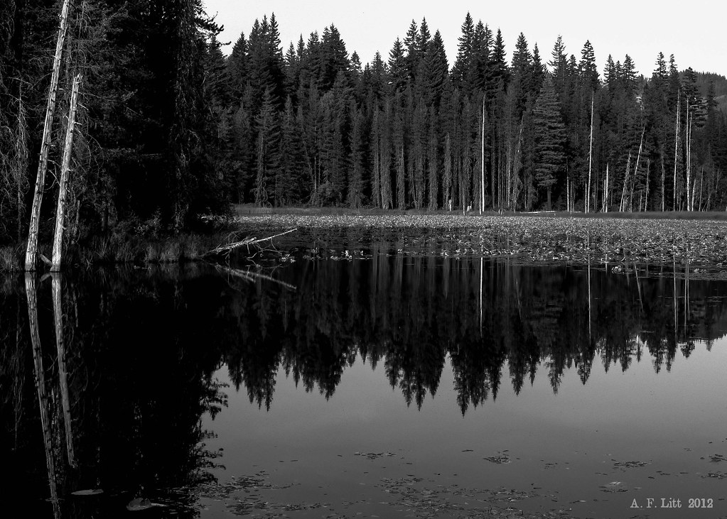 B/W Reflections. South Prairie Lake. Big Lava Bed. Gifford… Flickr
